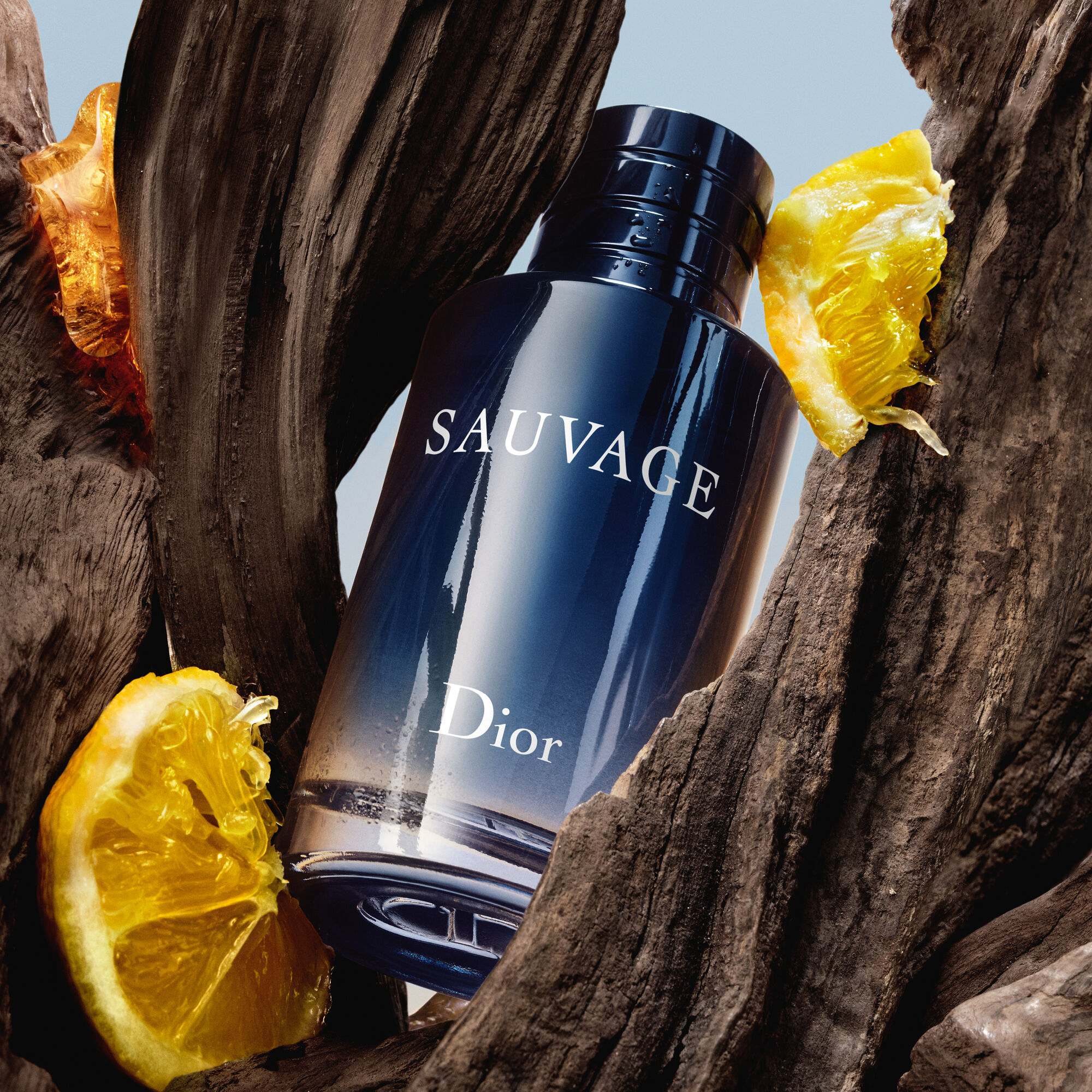 DIOR Sauvage Eau De Toilette Travel Spray 30ML